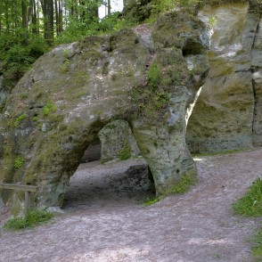 Liepas Ellīte Liepas Ellīte