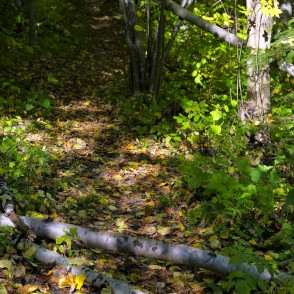 Taka uz Vella gravu Taka uz Vella gravu