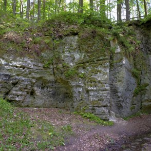 Lielā Ellīte Lielā Ellīte