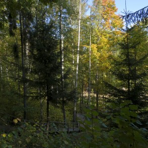 Vilces grava Vilces grava