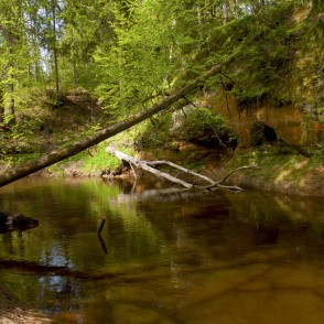Lūrmaņu atsegumi pie Rojas upes Lūrmaņu atsegumi pie Rojas upes