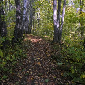 Barona taka Vilces dabas parkā Barona taka Vilces dabas parkā
