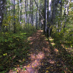 Barona taka Vilces dabas parkā Barona taka Vilces dabas parkā
