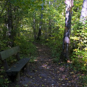 Barona taka Vilces dabas parkā Barona taka Vilces dabas parkā