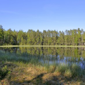 Ezeriņš Medema purvā Ezeriņš Medema purvā