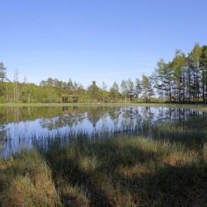 Medema purva ainava ar ezeriņu Medema purva ainava ar ezeriņu