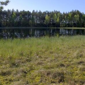 Medema purvs Medema purvs