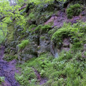 Ejot pa Līču-Laņģu klinšu taku Ejot pa Līču-Laņģu klinšu taku