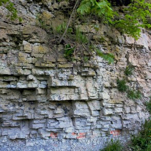 Dolomīta atsegumi Dievdārziņa dabas takā (Iecava) Dolomīta atsegumi Dievdārziņa dabas takā (Iecava)