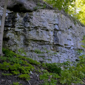 Dolomīta atsegumi Dievdārziņa dabas takā (Iecava) Dolomīta atsegumi Dievdārziņa dabas takā (Iecava)