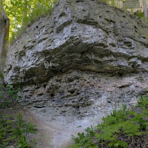 Dolomīta atsegumi Dievdārziņa dabas takā (Iecava) Dolomīta atsegumi Dievdārziņa dabas takā (Iecava)