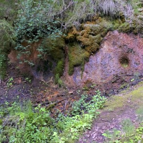 Ejot pa Līču-Laņģu klinšu taku Ejot pa Līču-Laņģu klinšu taku