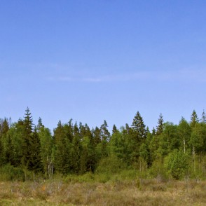 Čužu purva panorāma Čužu purva panorāma