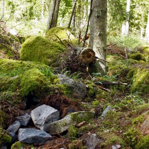 Dabas piemineklis "Kaltenes Kalvas" Dabas piemineklis "Kaltenes Kalvas"