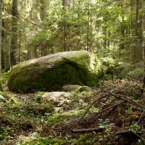 Dabas piemineklis "Kaltenes Kalvas" Dabas piemineklis "Kaltenes Kalvas"