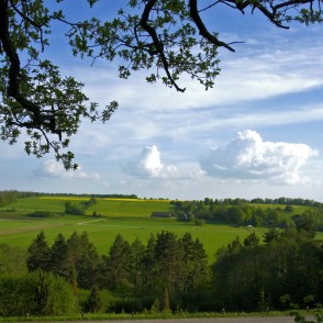 Skats no Greiļu kalna uz Abavas senleju Skats no Greiļu kalna uz Abavas senleju