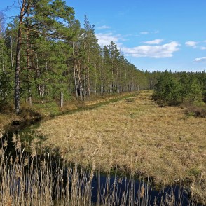 Dabiskotie kūdras karjeri Ķemeru tīrelī Dabiskotie kūdras karjeri Ķemeru tīrelī