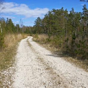 Ceļš cauri dabiskotiem kūdras karjeriem Ceļš cauri dabiskotiem kūdras karjeriem