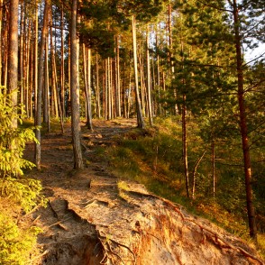 Ogres "Zilie kalni" Ogres "Zilie kalni"