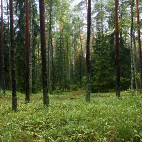 Ogres "Zilie kalni" Ogres "Zilie kalni"