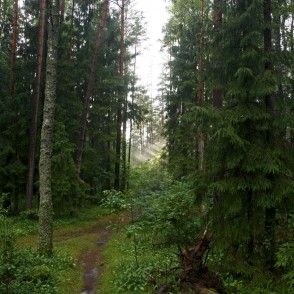 Ogres "Zilie kalni" Ogres "Zilie kalni"