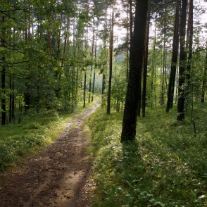 Ogres "Zilie kalni" Ogres "Zilie kalni"