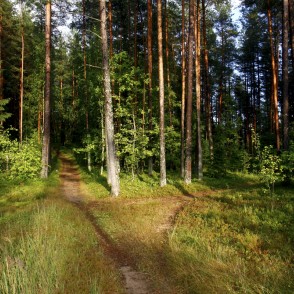 Ogres "Zilie kalni" Ogres "Zilie kalni"