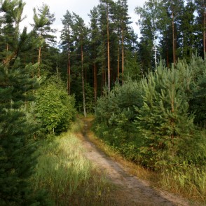 Ogres "Zilie kalni" Ogres "Zilie kalni"