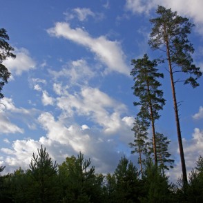 Ogres "Zilie kalni" Ogres "Zilie kalni"