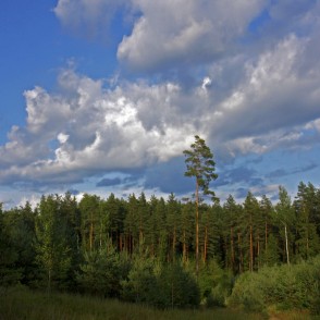 Ogres "Zilie kalni" Ogres "Zilie kalni"