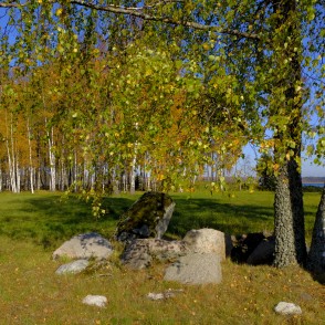 Akmeņi pie bērza, rudens ainava Akmeņi pie bērza, rudens ainava