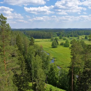 Skats no Cirgaļu skatu torņa Skats no Cirgaļu skatu torņa