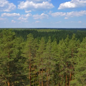Skats no Cirgaļu skatu torņa Skats no Cirgaļu skatu torņa