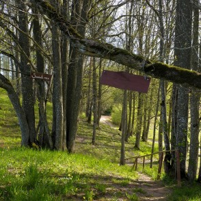 Ejot pa Satiķu dabas taku Ejot pa Satiķu dabas taku