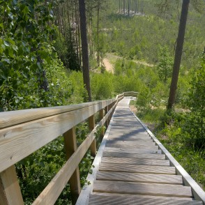 Zvirgzdes kāpa Zvirgzdes kāpa