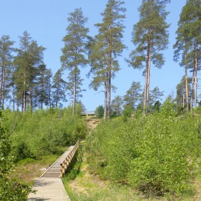 Zvirgzdes kāpa Zvirgzdes kāpa