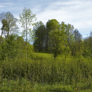 Ejot pa Satiķu dabas taku Ejot pa Satiķu dabas taku