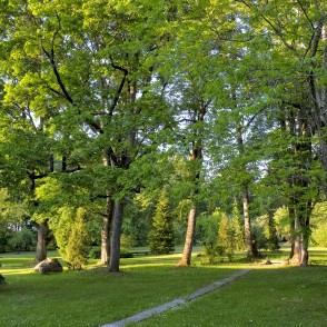 Vārmes muižas parks Vārmes muižas parks