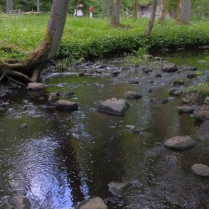 Dienvidsusēja Gārsenes meža parkā Dienvidsusēja Gārsenes meža parkā