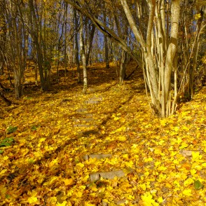 Dzērves kalns (Korneti) Dzērves kalns (Korneti)