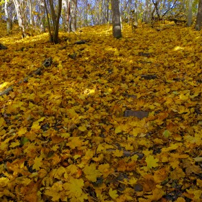 Dzērves kalns (Korneti) Dzērves kalns (Korneti)