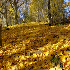 Dzērves kalns (Korneti) Dzērves kalns (Korneti)
