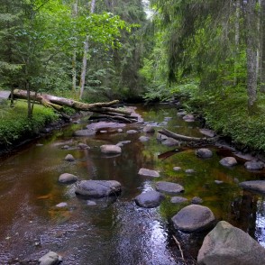 Dienvidsusēja Gārsenes meža parkā Dienvidsusēja Gārsenes meža parkā