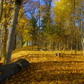 Dzērves kalns (Korneti) Dzērves kalns (Korneti)