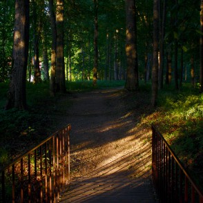 Vakars Kokneses parkā Vakars Kokneses parkā