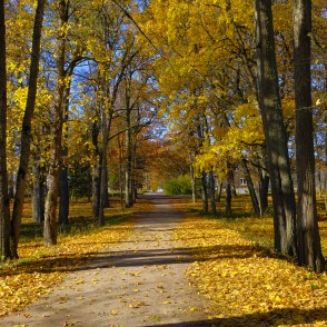 Ziemeru muižas parks Ziemeru muižas parks