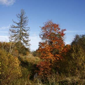 Autumn Landscape of the Pedvale Art Park Autumn Landscape of the Pedvale Art Park