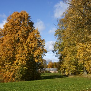Autumn Landscape of the Pedvale Art Park Autumn Landscape of the Pedvale Art Park