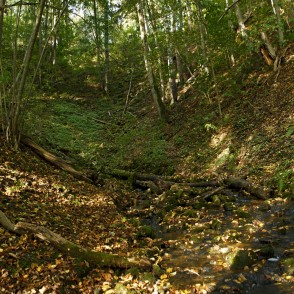 Sērenes karsta kritenis Sērenes karsta kritenis