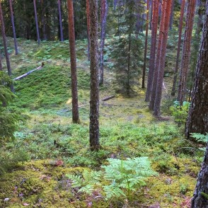 Skats no kangara aukšas Skats no kangara aukšas
